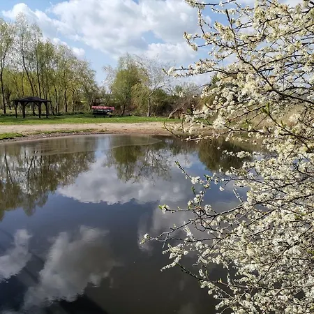 Ferienwohnung Neukalen Neukalen