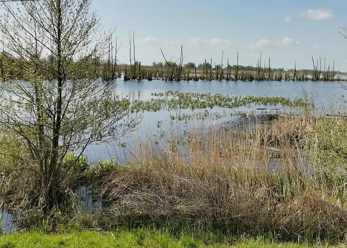 Ferienwohnung Neukalen *