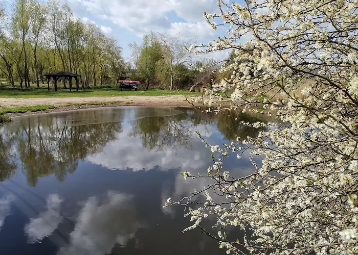 Ferienwohnung Neukalen Neukalen
